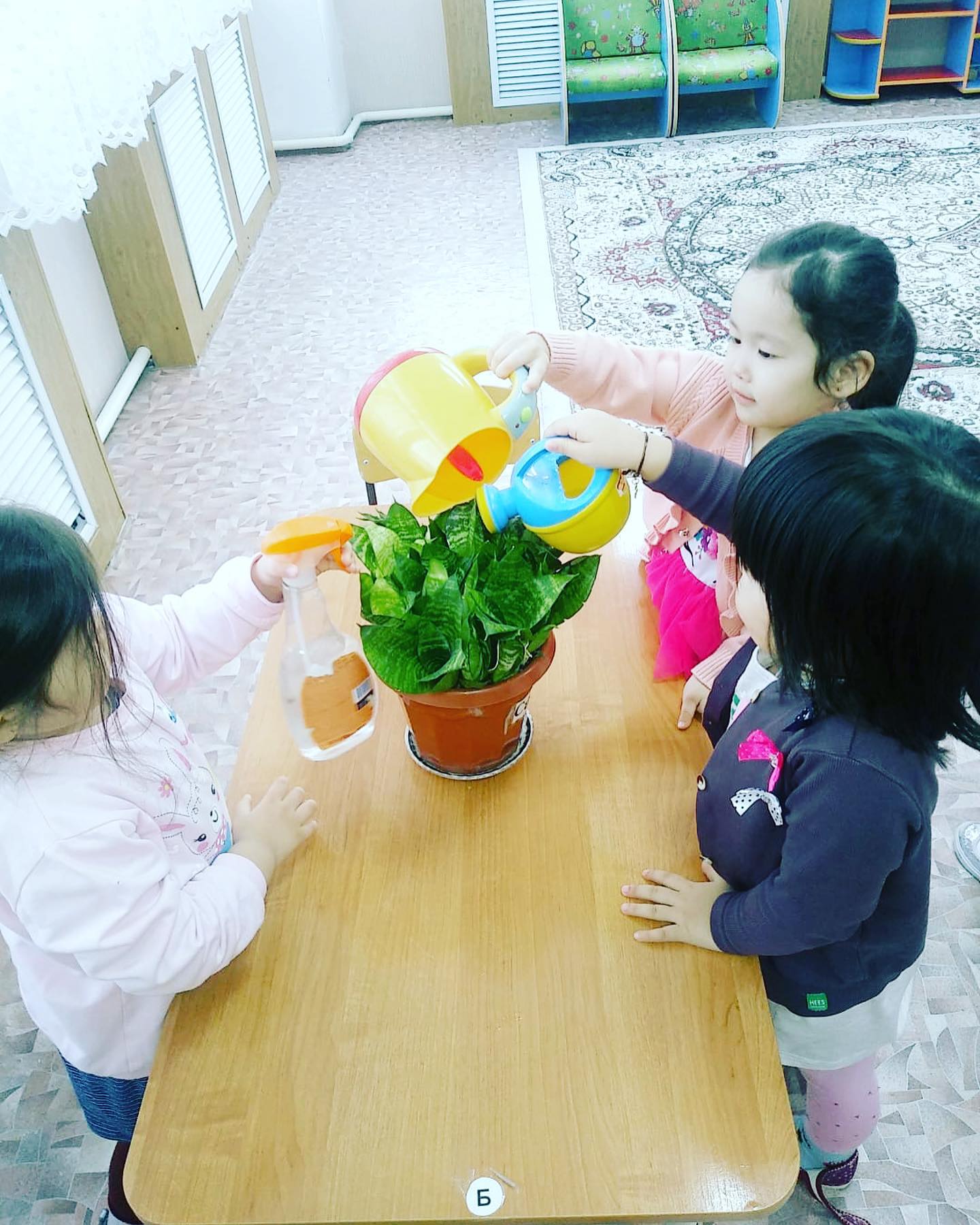 Тақырыбы: Бөлме гулдерін күту.Мақсаты:Гулдерді салыстыра білу,олардың айырмашылығын ажырата білуге уйрету.Гулдерді қалай күтіп,баптап өсіруге уйрету «Еркетай» тобы.